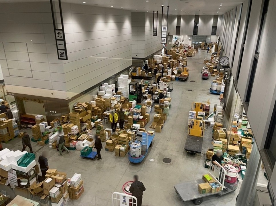 從通往參觀步道的走廊望去，可見豐洲市場青果區在拍賣前後進行的分類與搬運作業。
