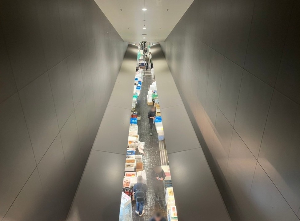從上層走廊俯瞰豐洲市場水產仲卸棟的作業區域景象。