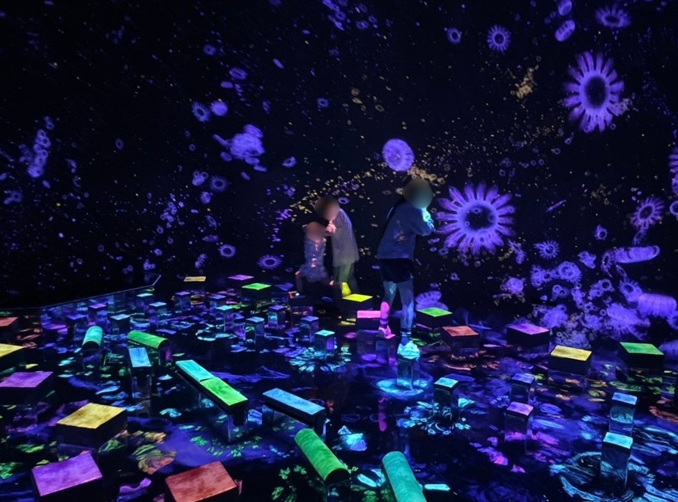 teamLab Planets 豊洲の没入型アート空間。床に並ぶ光のブロックと壁面のカラフルなデジタル映像が連動し、来館者が光の中を歩きながら体験するインタラクティブインスタレーション。