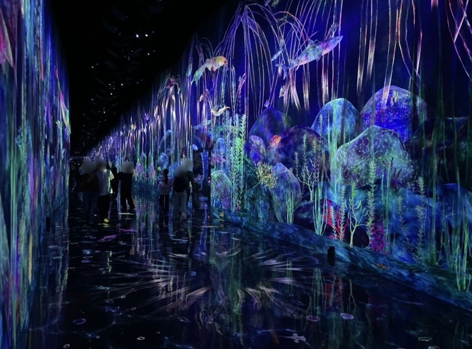 teamLab Planets 豊洲の「フォレストエリア」3枚目。青や紫の光で描かれた森の生態系が広がり、動物や植物が幻想的に浮かび上がる没入型デジタルアート空間。