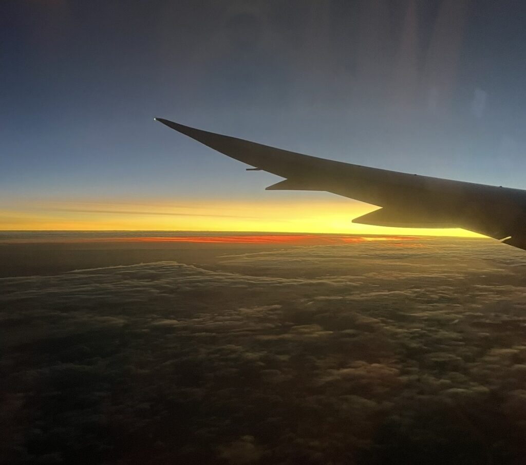 飛行機の翼越しに見える美しい朝焼け。雲海と地平線が黄金色に染まる機内からの眺めで、ニュージーランド航空のフライト中に撮影した空の絶景。