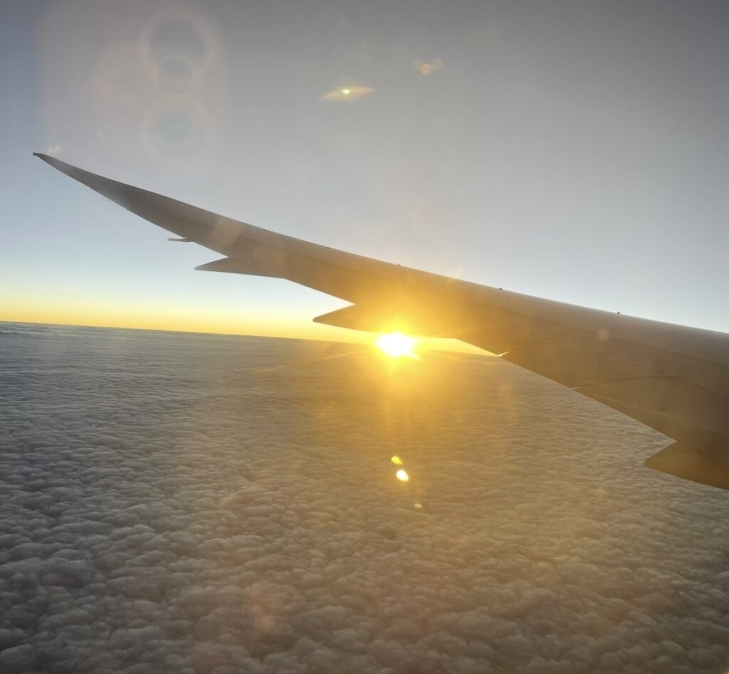 飛行機の翼越しに見える美しい朝日。雲海の上に昇る太陽が黄金色の光を放つ、機内から撮影したニュージーランド航空フライトの絶景。
