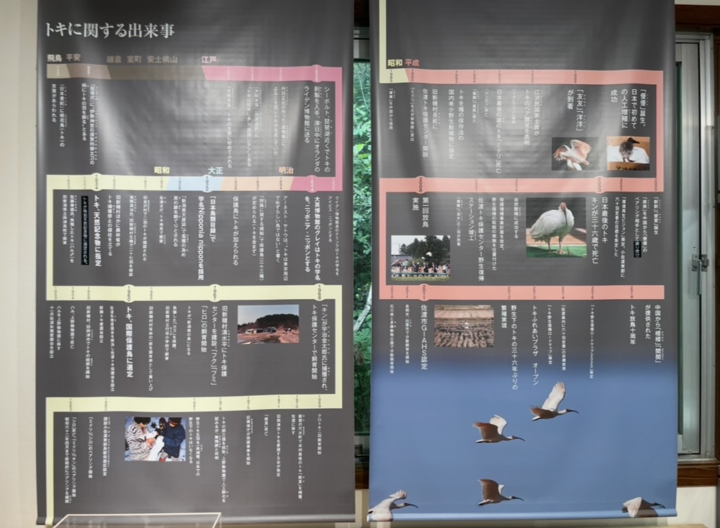 介紹朱鷺歷史的年代年表解說面板，從飛鳥時代到現代的相關事件以照片與文字一覽呈現。