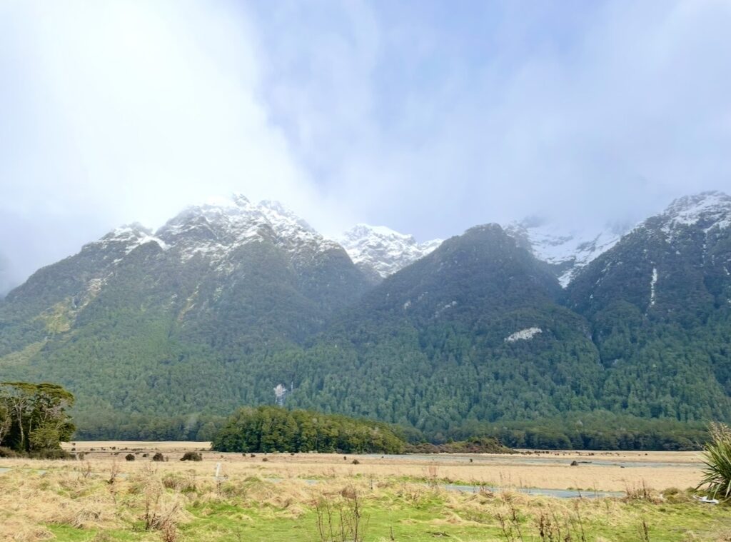 ミルフォードサウンドへ向かう道中で見える雪山と広い草原の冬景色
