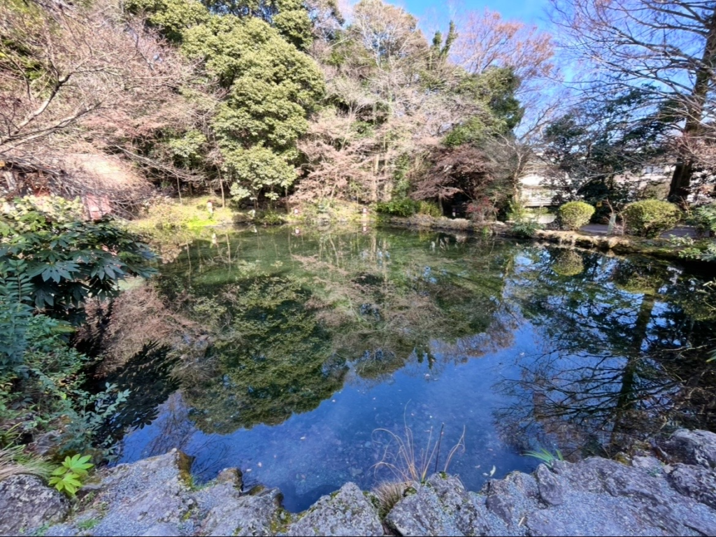 Yagutama Pond at Fujisan Hongu Sengen Taisha, featuring crystal‑clear spring water that reflects the sky and surrounding trees, known as one of Mt. Fuji’s sacred and exceptionally pure water sources.