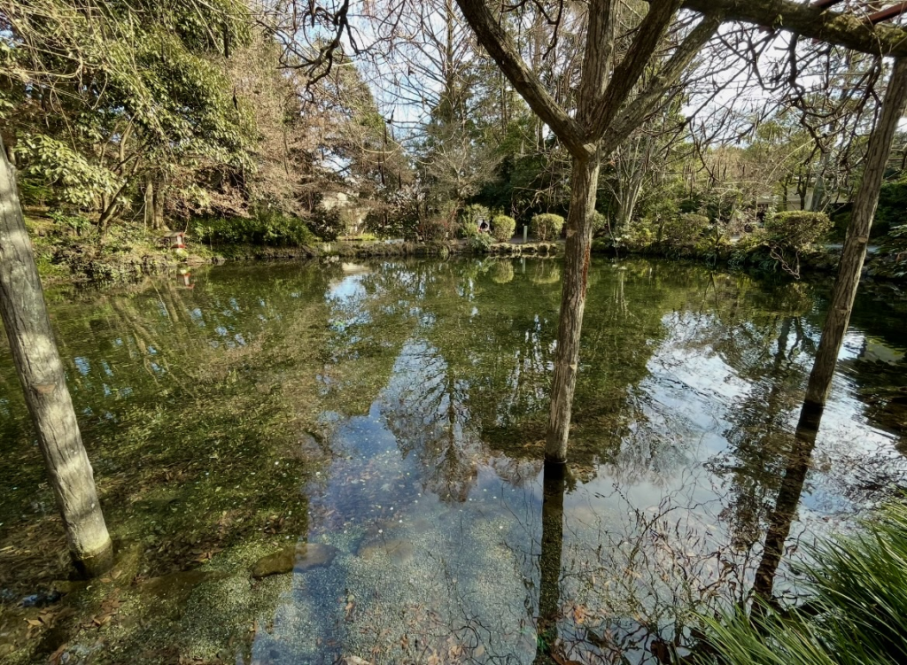 Yagutama Pond at Fujisan Hongu Sengen Taisha, featuring clear spring water that reflects surrounding trees and the sky, known as one of Mt. Fuji’s sacred and exceptionally pure water sources.