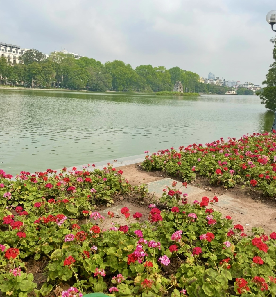 還劍湖畔盛開的紅花、寧靜湖面與成排的翠綠樹木景致