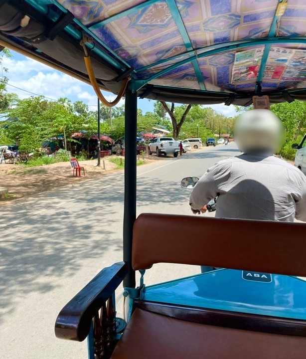 行駛中的嘟嘟車車內視角，後座望向前方司機背影與兩旁綠樹成蔭的道路景象。