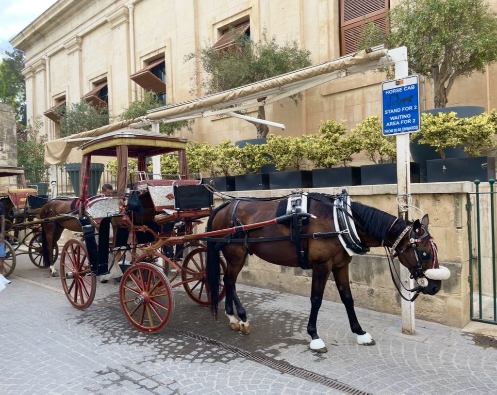 バレッタ旧市街に停まる伝統的な馬車。赤い車輪のクラシックな車体と馬が石造りの街並みに調和し、歴史情緒あふれる風景をつくる。