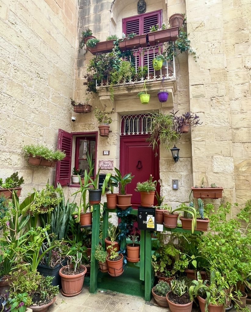 マルタのイムディーナにある赤色のドアとたくさんの美しい鉢植えの植物に彩られた蜂蜜色の家
